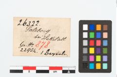 Etikett zu Bronzeperle (NHMW-PRAE-026322)